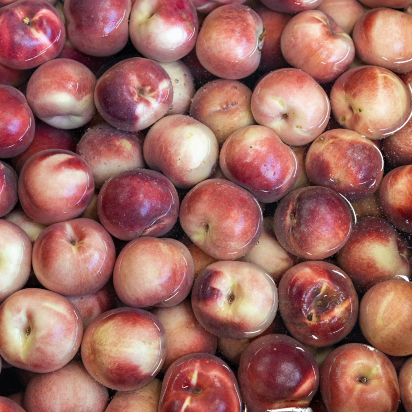 CIPRIANI Bellini 750ml