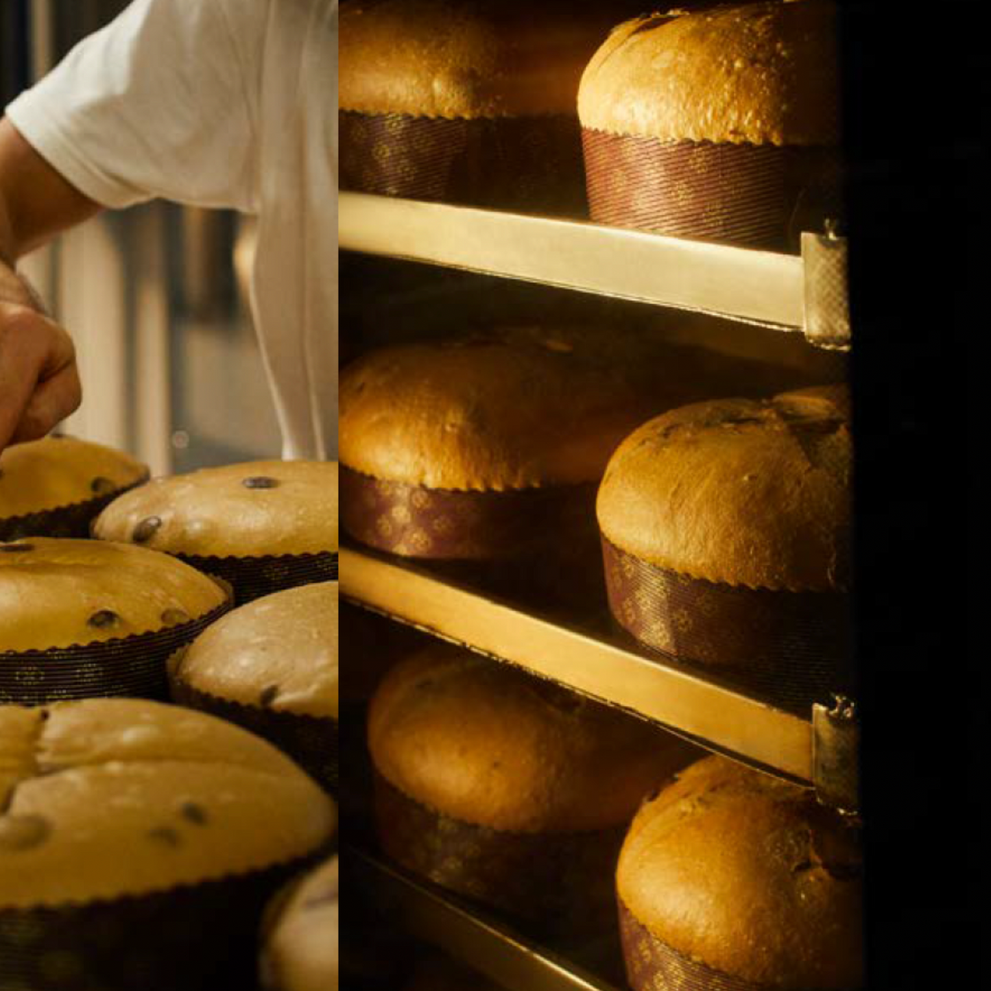 VORVERKAUF: DOLCE & GABBANA Panettone agli Agrumi e allo Zafferano di Sicilia