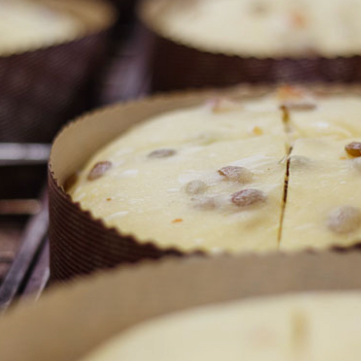 VORVERKAUF: DOLCE & GABBANA Panettone al Pistacchio di Sicilia