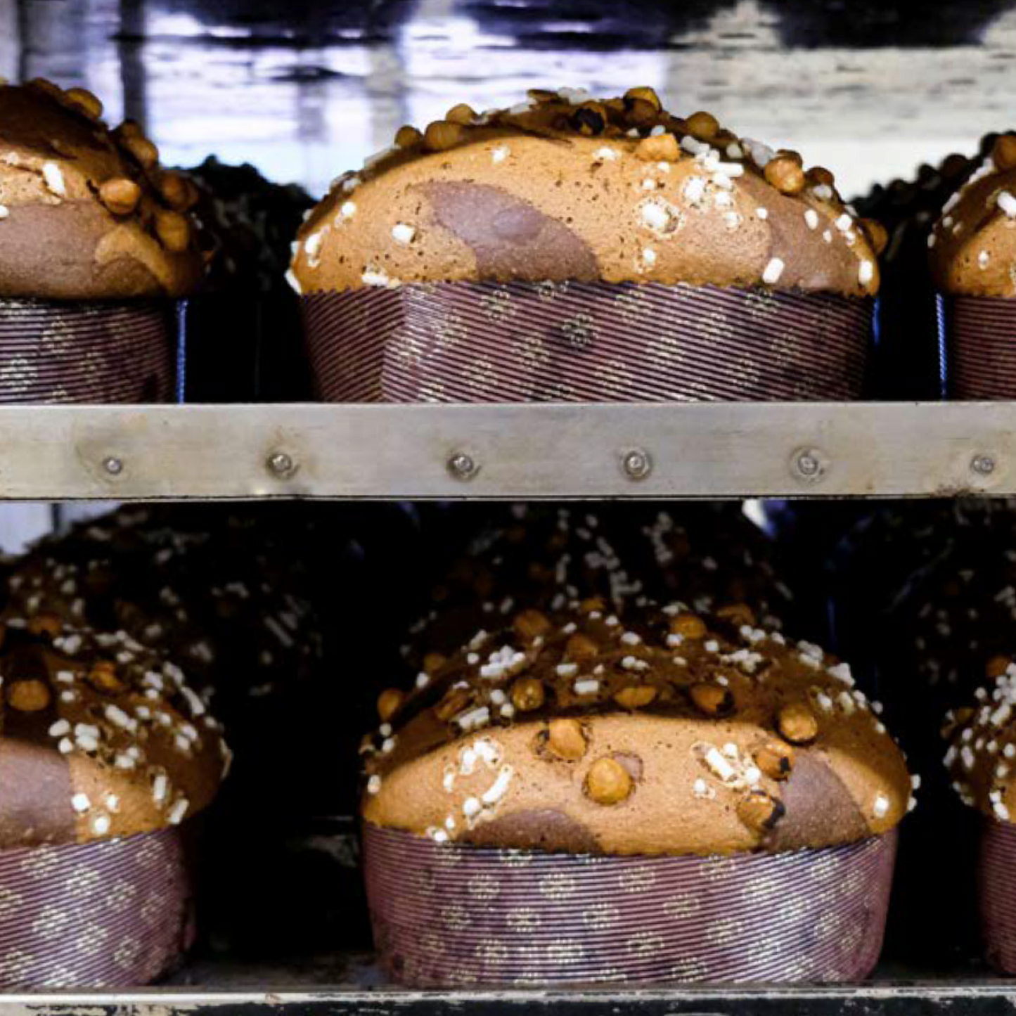 VORVERKAUF: DOLCE & GABBANA Panettone alle Nocciole di Sicilia 1kg