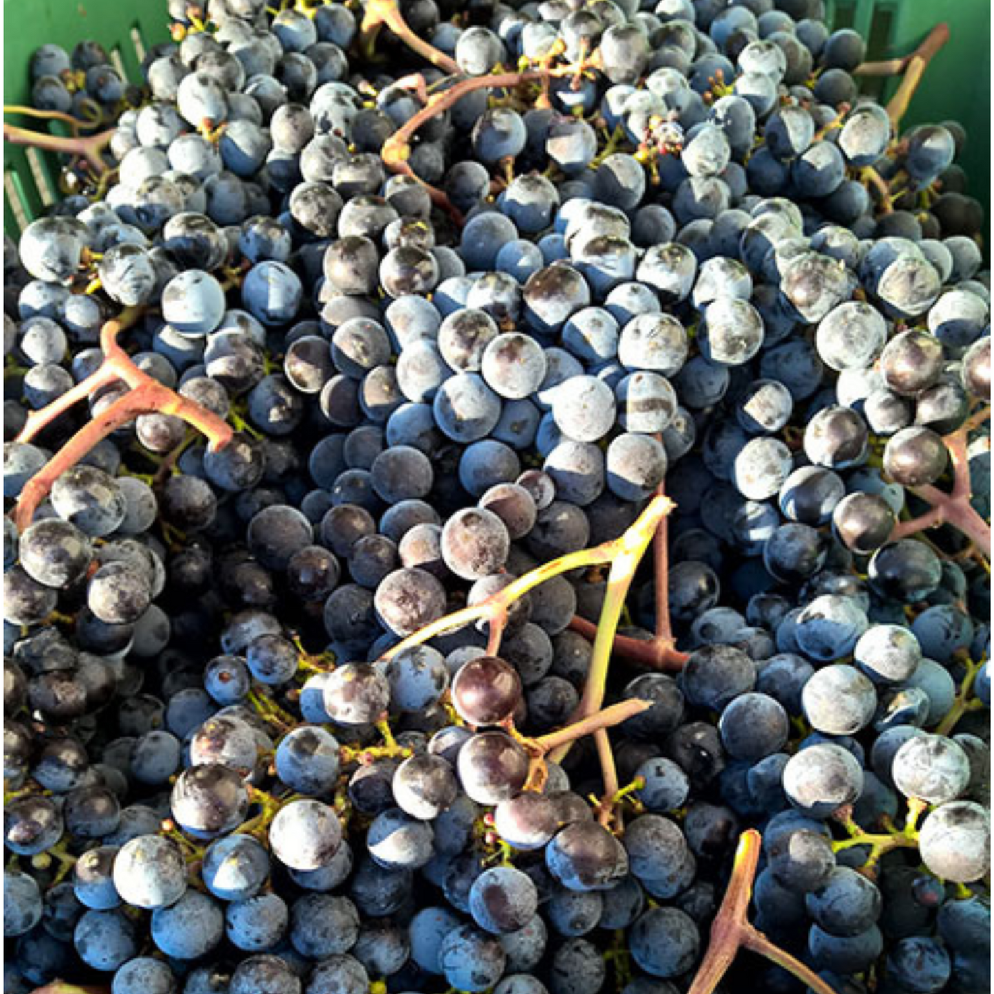 DAVINUM Nostrum IGT 0.75l