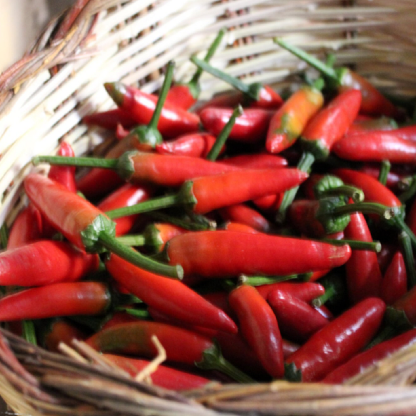 DELIZIE DI CALABRIA Sugo 'Nduja per Pasta 230g