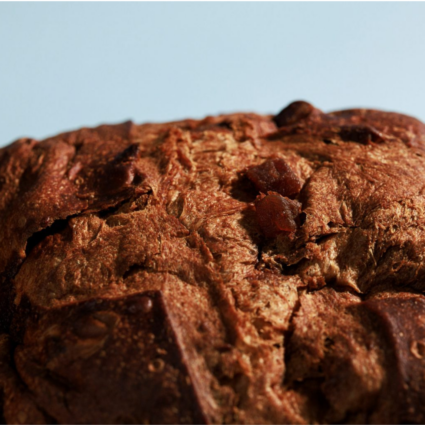 VORVERKAUF: FIASCONARO Panettone Mela e Cannella 1kg