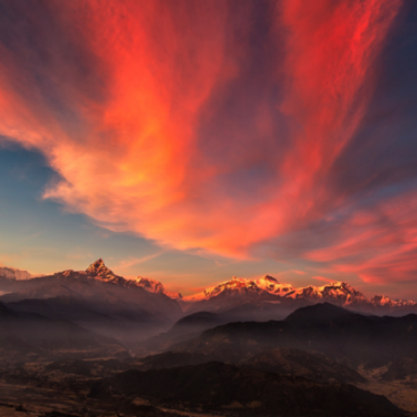 TESORI D'ORIENTE Muschio Bianco Deodorant