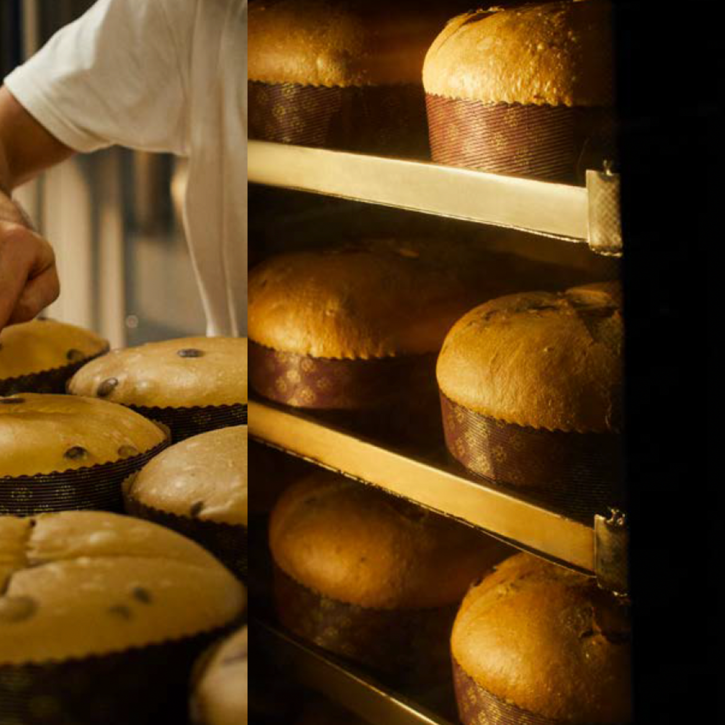 DOLCE & GABBANA Panettone agli Agrumi e allo Zafferano di Sicilia