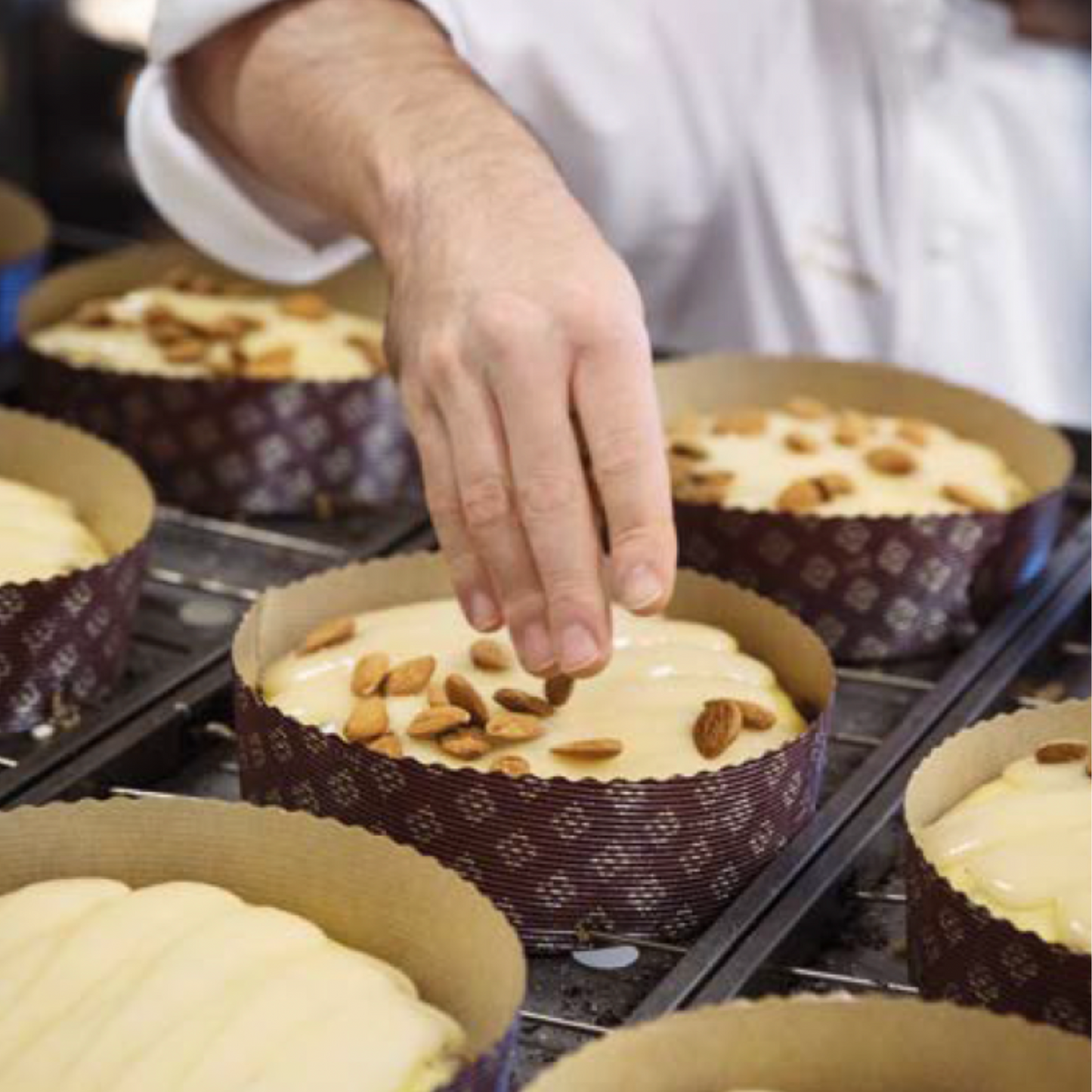 VORVERKAUF: DOLCE & GABBANA Panettone alle Mandorle di Sicilia 1kg